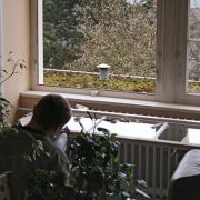 Vorsichtig werden die Fenster ausgebaut.