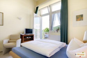 Blick ins Zimmer Max Laeuger